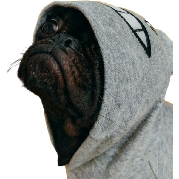 Untitled Project  27  Thumbnail