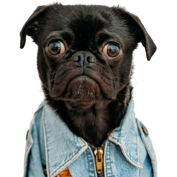 Untitled Project  25  Thumbnail