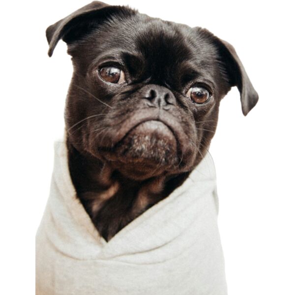 Untitled Project  28  Thumbnail